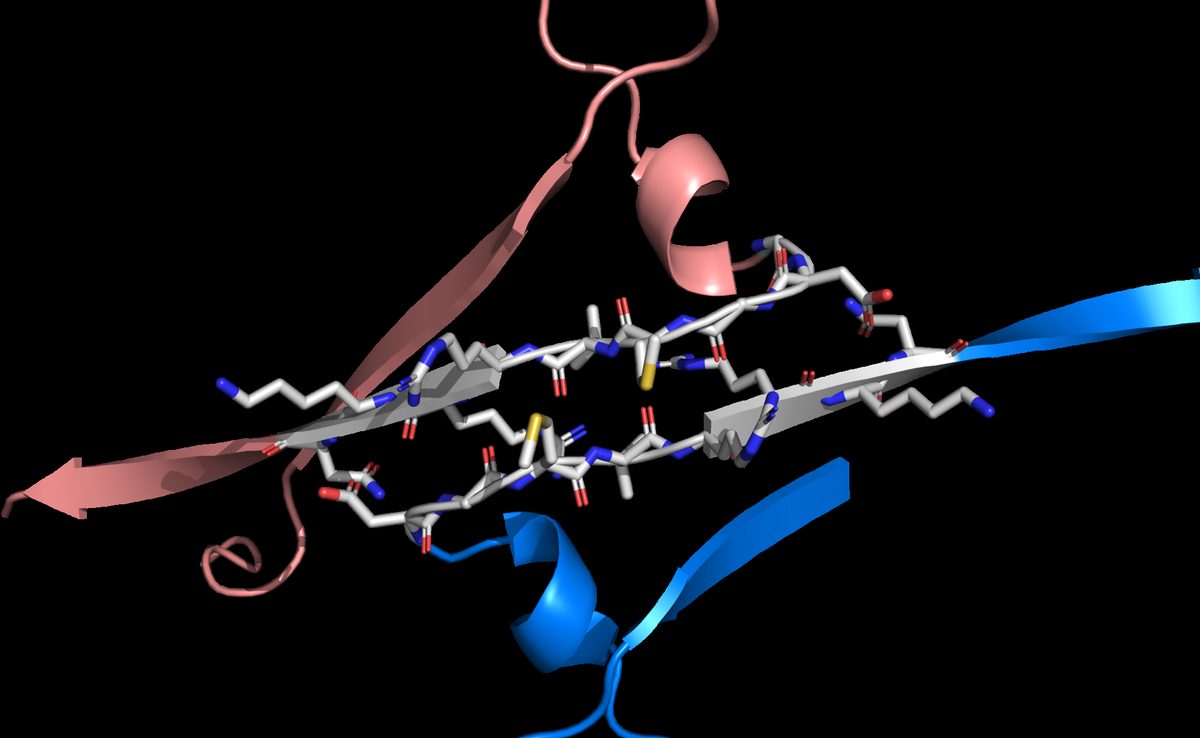 A rendered protein structure